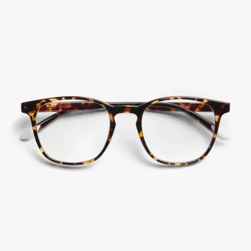 Barner Dalston Glossy Glasses - Tortoise