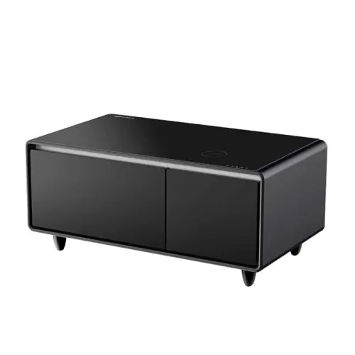 Gamvity Smart Coffee Table With 93l Refrigerator  Frozen & fridge Drawer Tb90 - Black