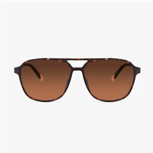 Barner Sunglasses Brad Sun - Tortoise