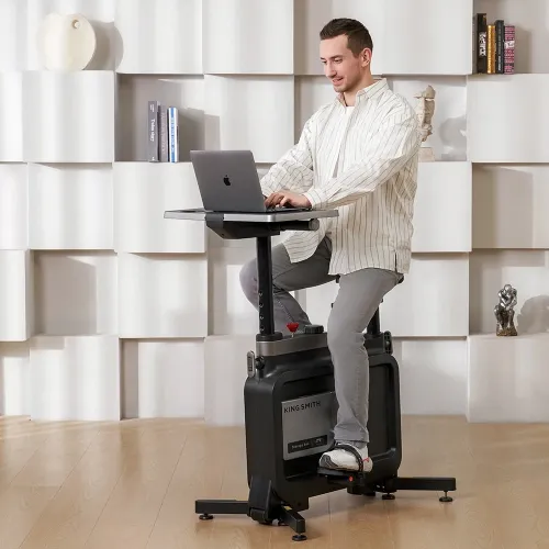 King Smith W1B Foldable Exercise Bike