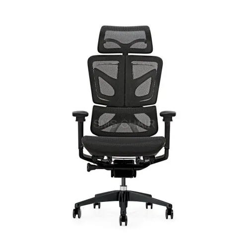GAMVITY Ergonomic Mesh Office Chair – Black Aluminum Alloy (Spray-Painted Finish)