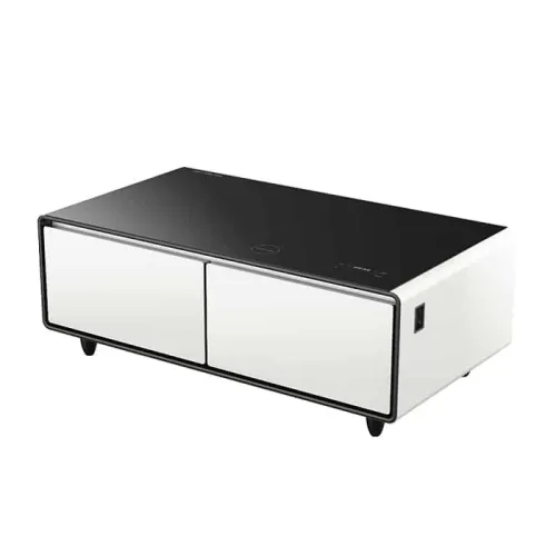 Gamvity Newest Luxury Pro Version Smart Coffee Table 135l Refrigerator (Tb135) - White