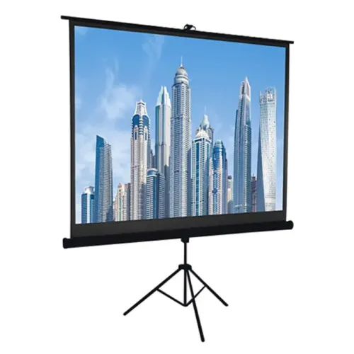 Portable Projector Screen 100 inch, 16:9 Foldable Anti-Crease, HD, 3D Indoor and Outdoor Projector Movies Screen