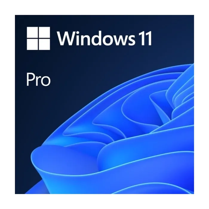 Is Windows 11 Pro only 64 bit?