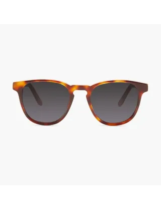 نظارة شمسية بارنر كروزبيرج اللون HAVANA